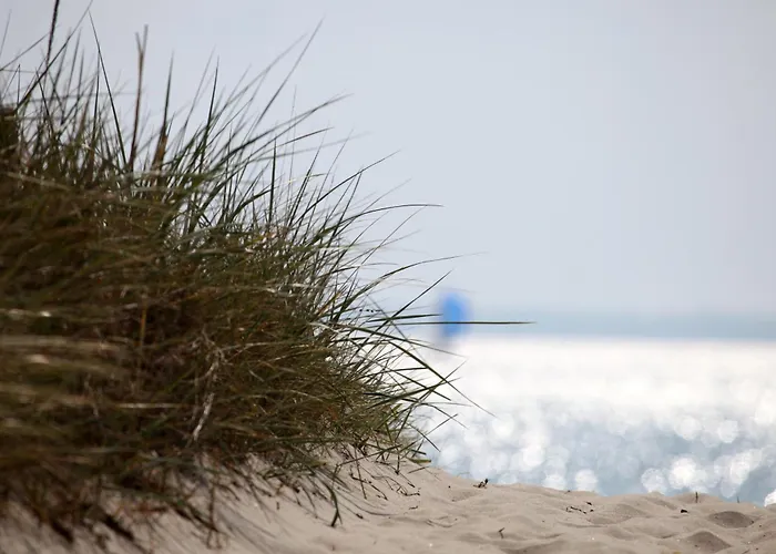 Casa de Férias Typ B 